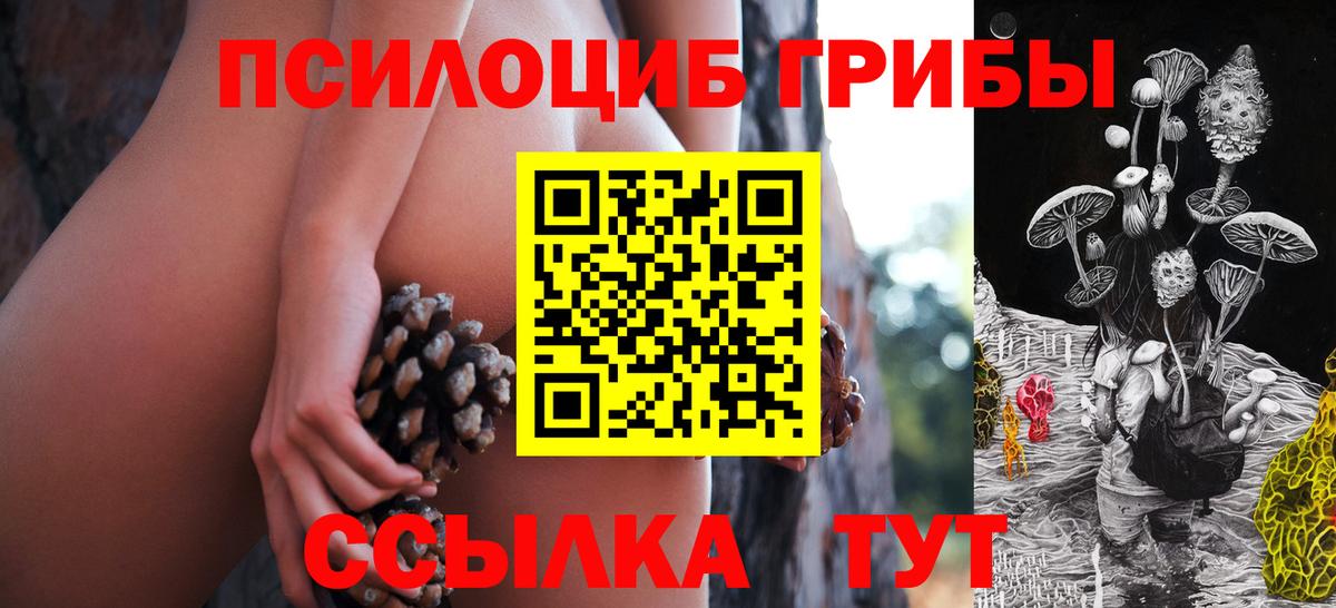 Касимов  где найти   Вход с VPN  Галлюциногенные грибы прущие грибы 