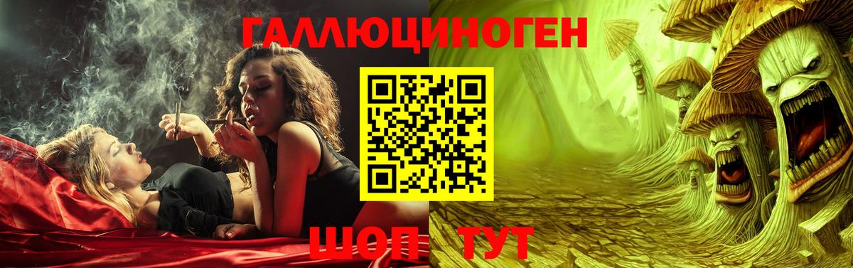 Псилоцибиновые грибы мицелий Касимов